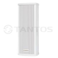 Звуковая колонна TSo-KW10