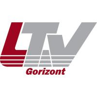 Программное обеспечение LTV-Gorizont Large модуль "развертка Fisheye-камер'' Программное обеспечение LTV-Gorizont Large модуль "развертка Fisheye-камер''